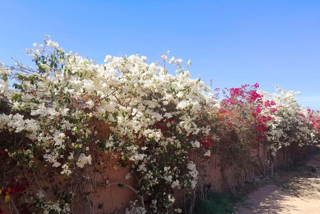 Villa Agora, Villa A La Campagne Proche Marrakech Sidi Abdallah Ghiat Luaran gambar