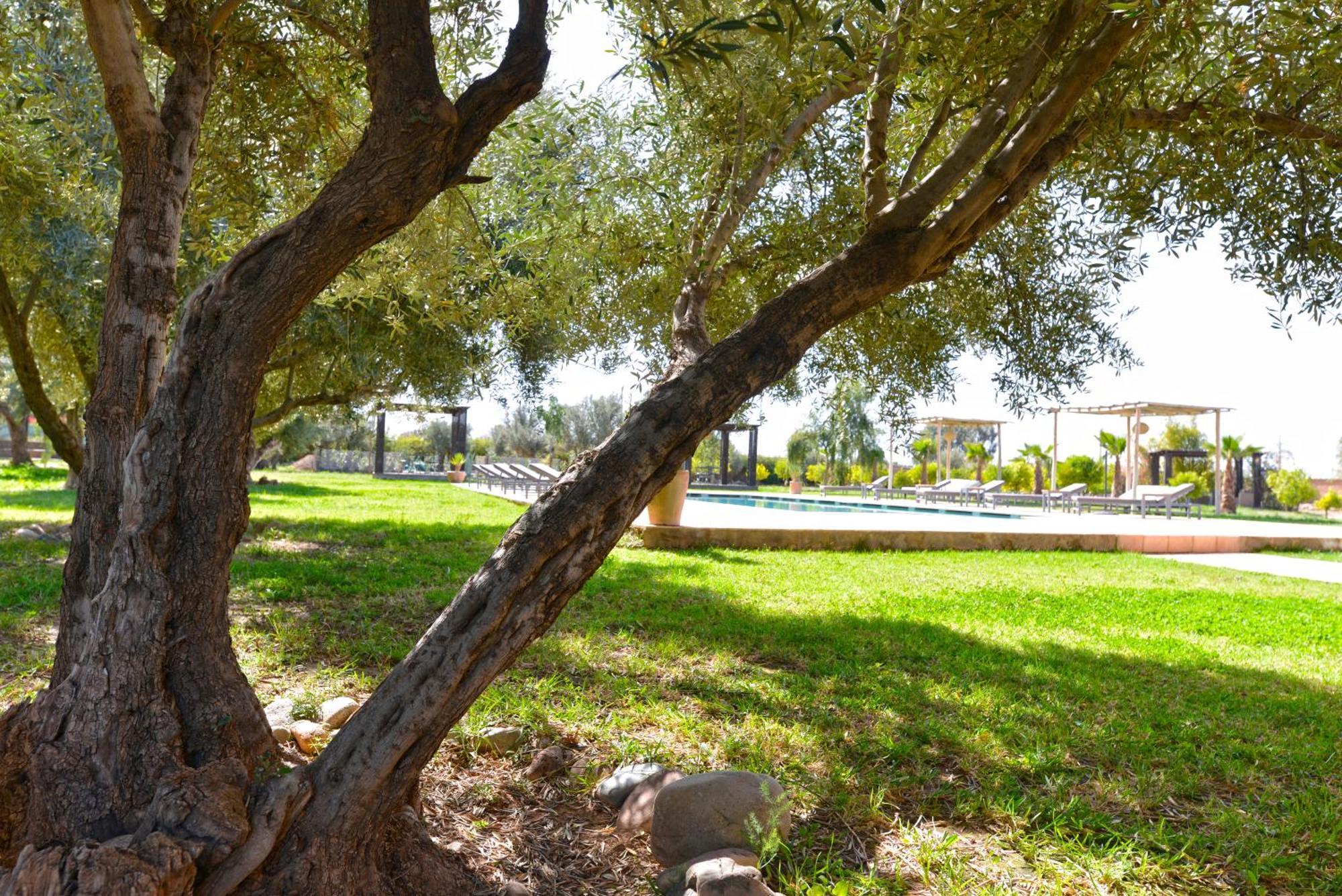 Villa Agora, Villa A La Campagne Proche Marrakech Sidi Abdallah Ghiat Luaran gambar